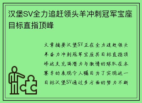 汉堡SV全力追赶领头羊冲刺冠军宝座目标直指顶峰