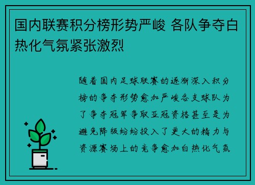 国内联赛积分榜形势严峻 各队争夺白热化气氛紧张激烈