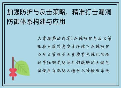 加强防护与反击策略，精准打击漏洞防御体系构建与应用