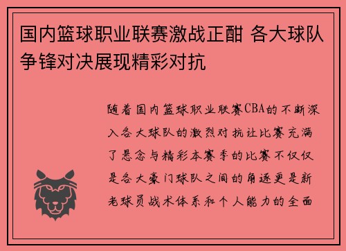 国内篮球职业联赛激战正酣 各大球队争锋对决展现精彩对抗