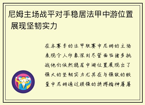 尼姆主场战平对手稳居法甲中游位置 展现坚韧实力